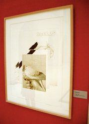Pájaros, 1985. Manuel Boix.